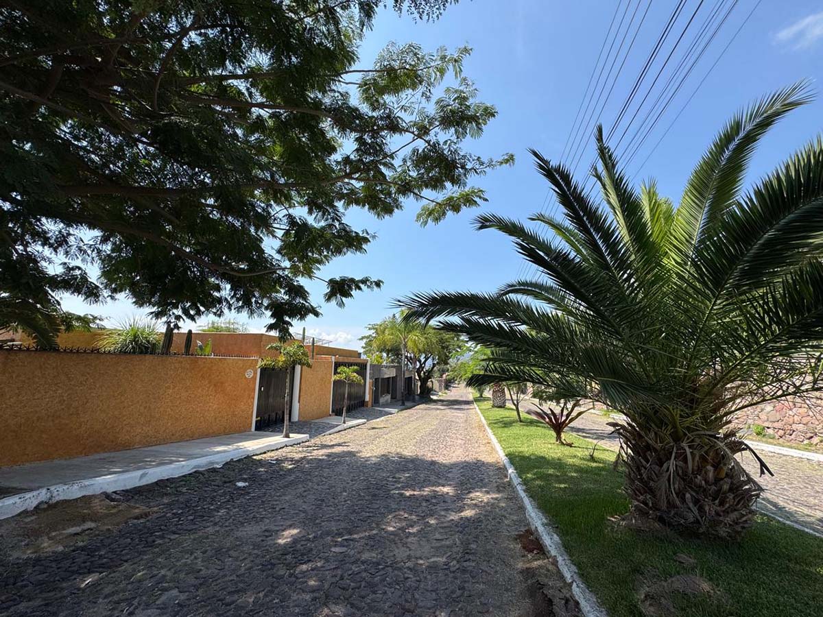 WhatsApp Image 2025-11-04 at 3.53.44 PM