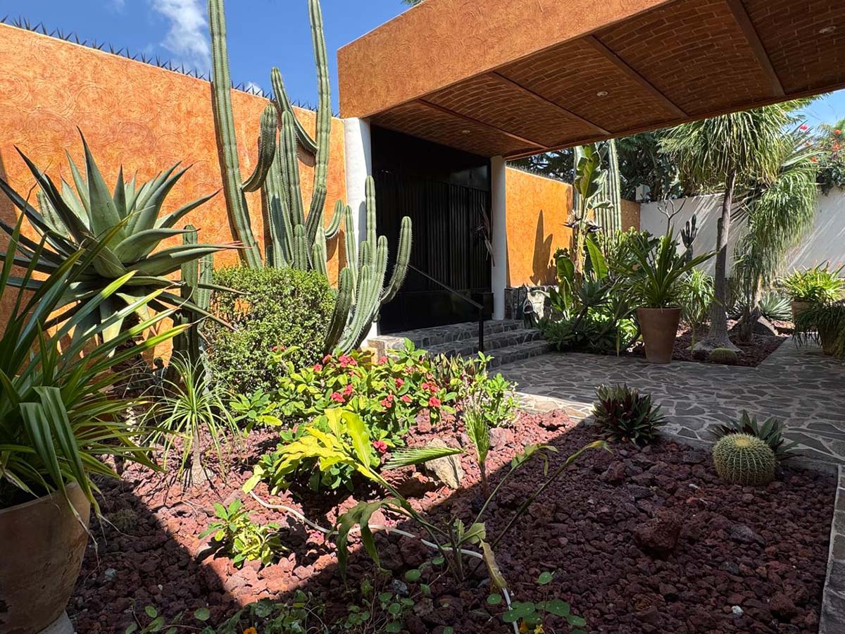 WhatsApp Image 2025-11-04 at 3.53.47 PM (2)