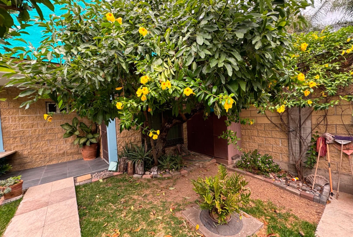 Casa Mercy