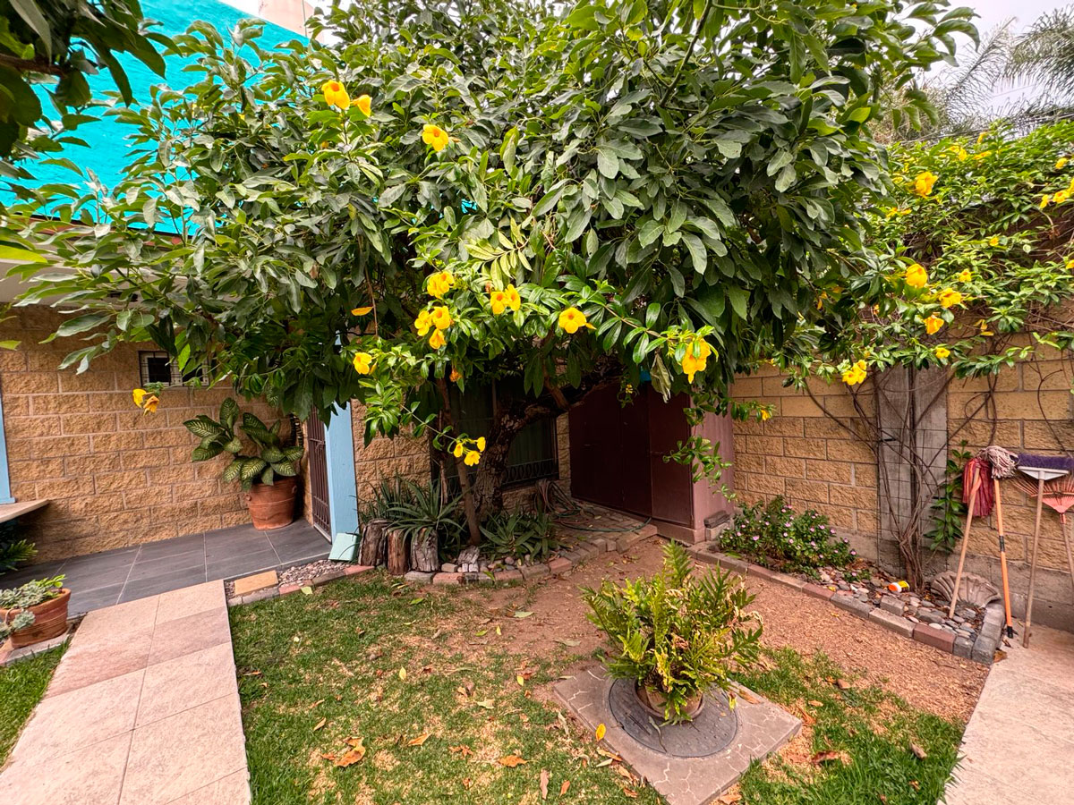 Casa Mercy